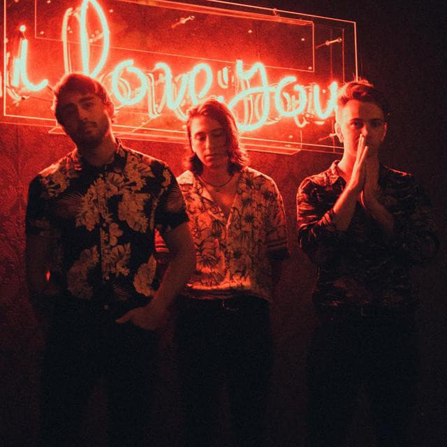 Light Up The Sky artist profile image