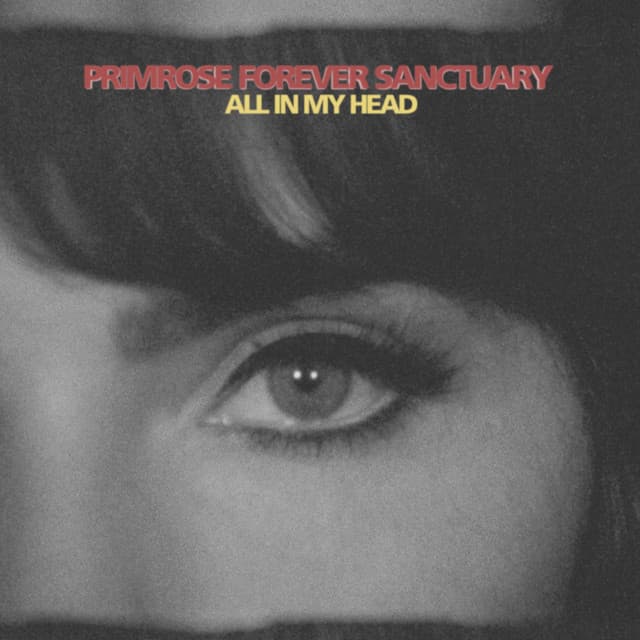 Primrose Forever Sanctuary artist profile image