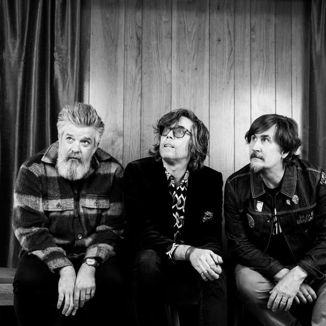 The Mountain Goats's artist profile image
