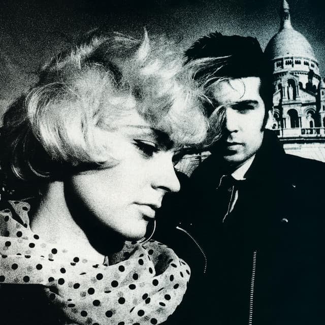 The Primitives artist profile image
