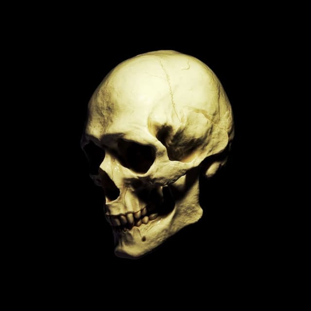 TRASHXRL artist profile image