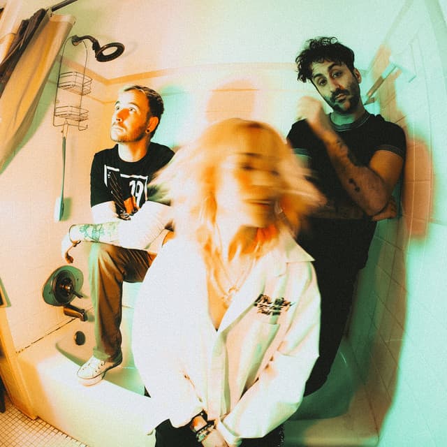 The Foxies artist profile image