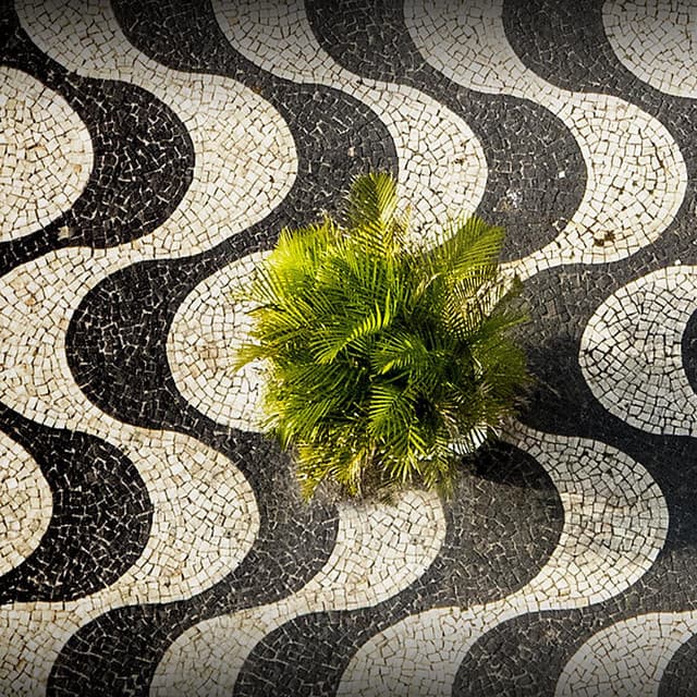 Groove Da Praia artist profile image