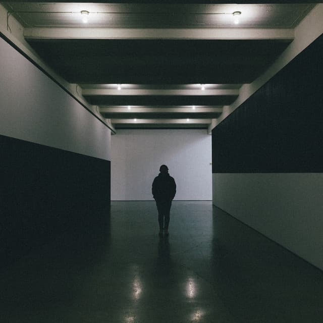 The Field Tapes artist profile image