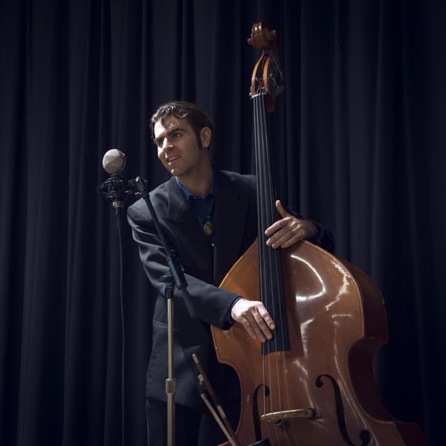 Birch Pereira & the Gin Joints artist profile image