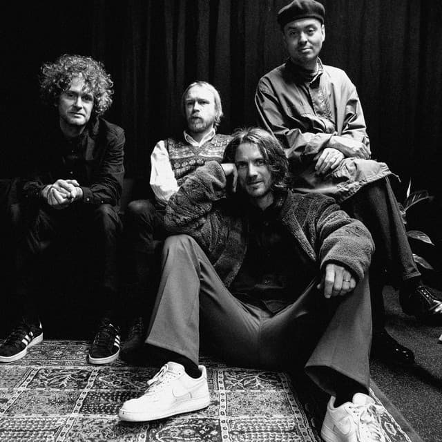 Dungen artist profile image