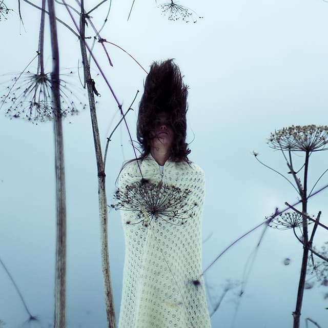 Anakelly artist profile image