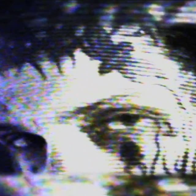 Gvllow's artist profile image
