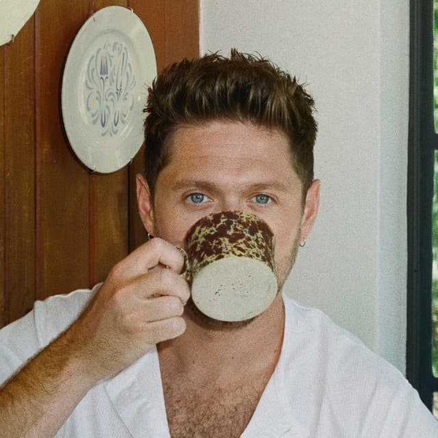 Niall Horan artist profile image
