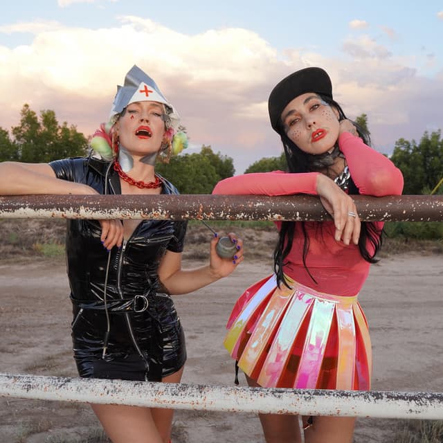 CocoRosie artist profile image
