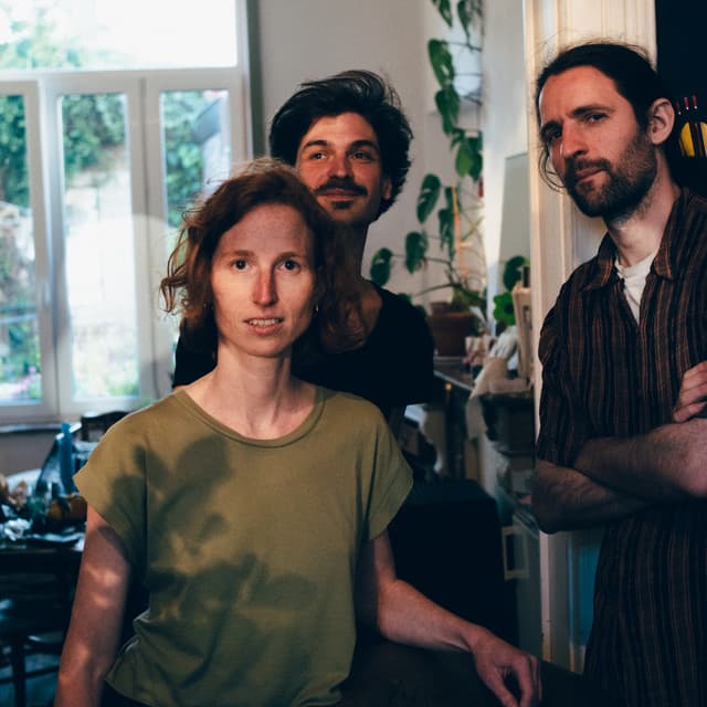 Volpe artist profile image