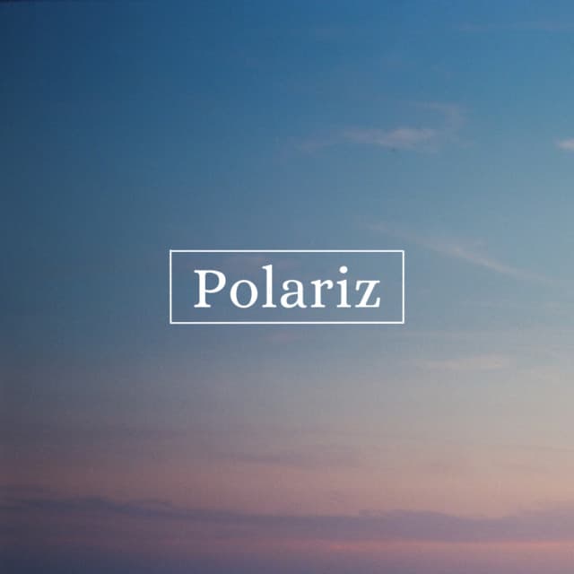 Polariz artist profile image