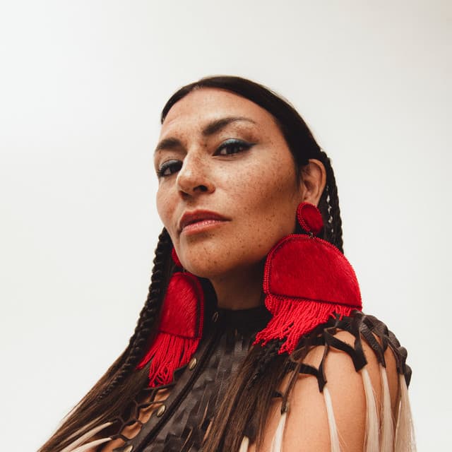 Elisapie artist profile image