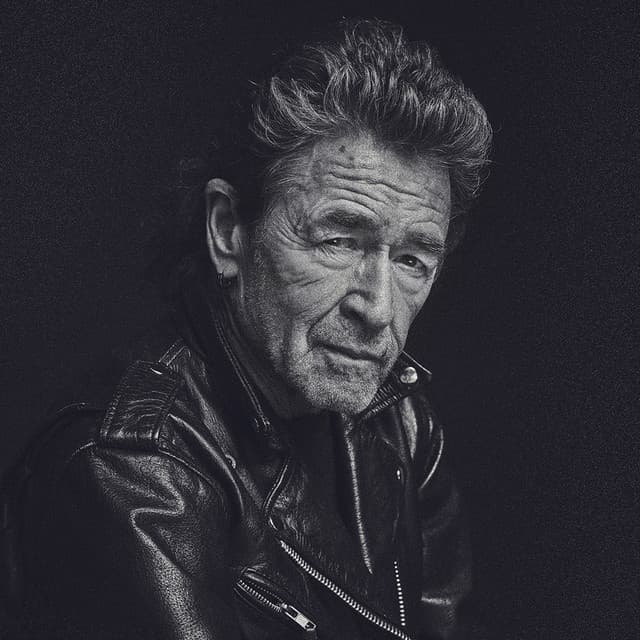 Peter Maffay artist profile image