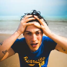 Pedro Santos's artist profile image