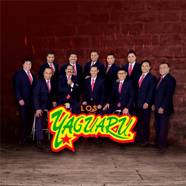 Los Yaguarú artist profile image