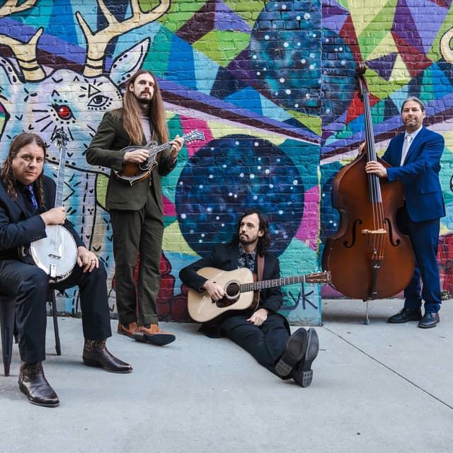 Henhouse Prowlers artist profile image