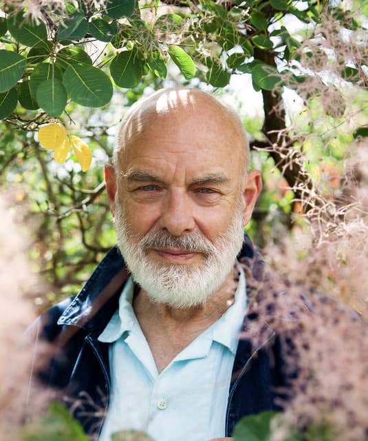 Brian Eno artist profile image