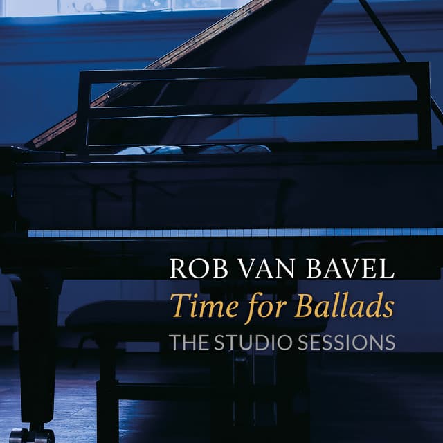 Rob Van Bavel artist profile image