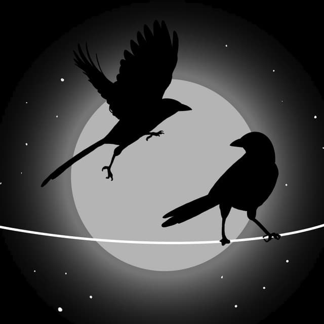 Blackbird Blackbird artist profile image
