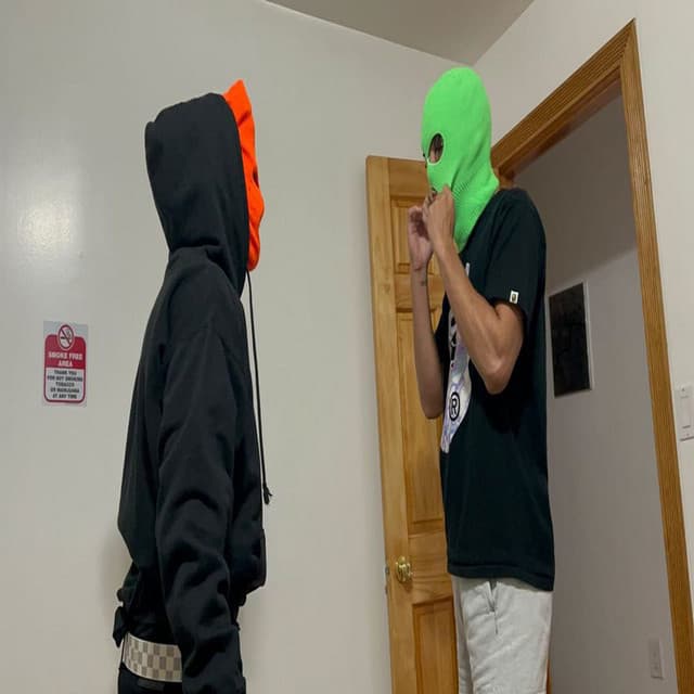 void artist profile image