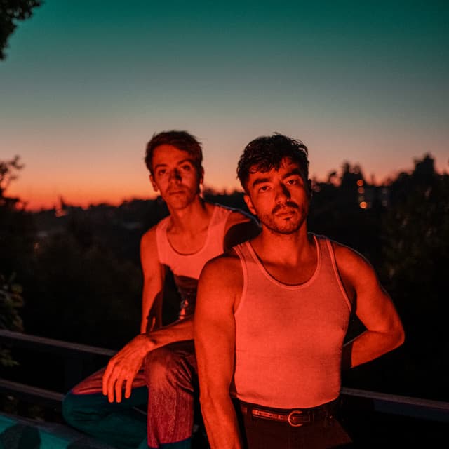 Oshima Brothers's artist profile image