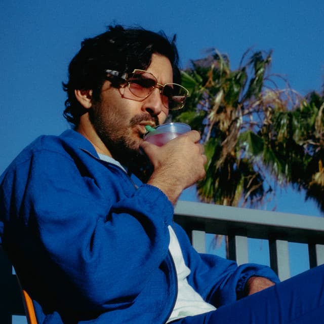 Ardalan artist profile