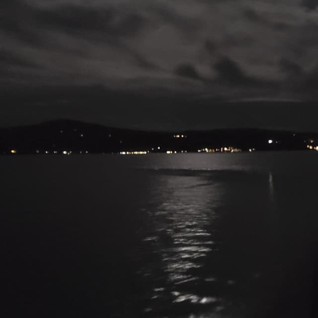 Petr artist profile image