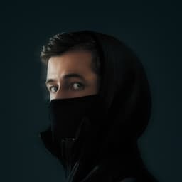 Alan Walker's artist profile image
