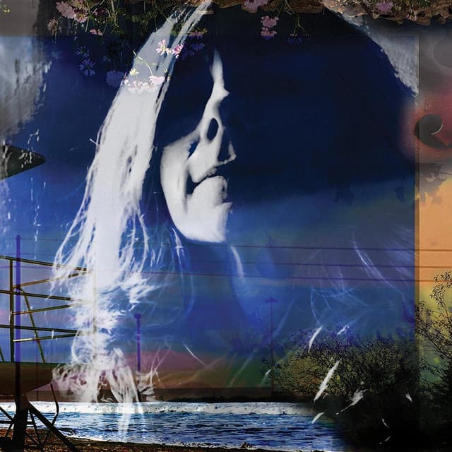 Tracy Grammer artist profile image
