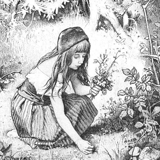 Neroche artist profile image