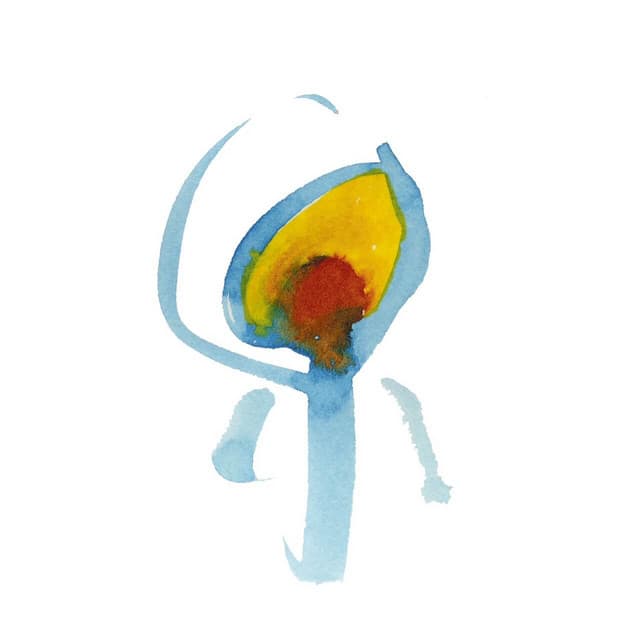 Nujabes artist profile image