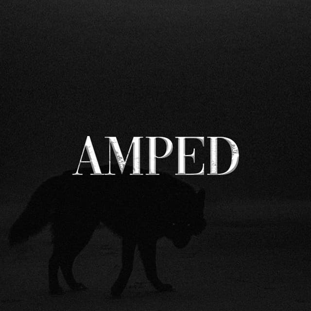 amped artist profile image