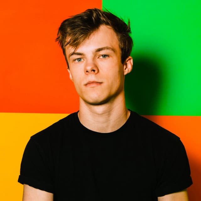 Nicholas Hamilton artist profile image