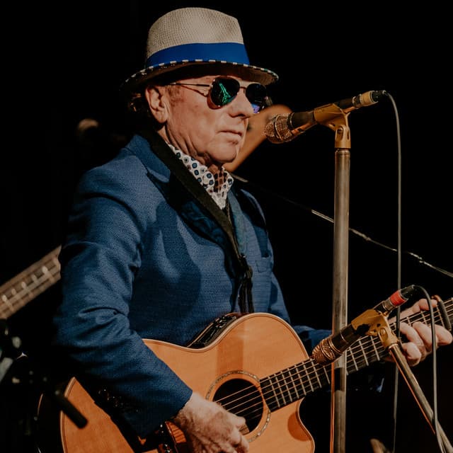 Van Morrison's artist profile image