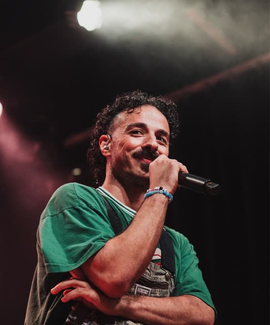 anees artist profile image