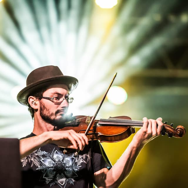 Lapa's artist profile image
