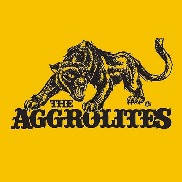 The Aggrolites's artist profile image