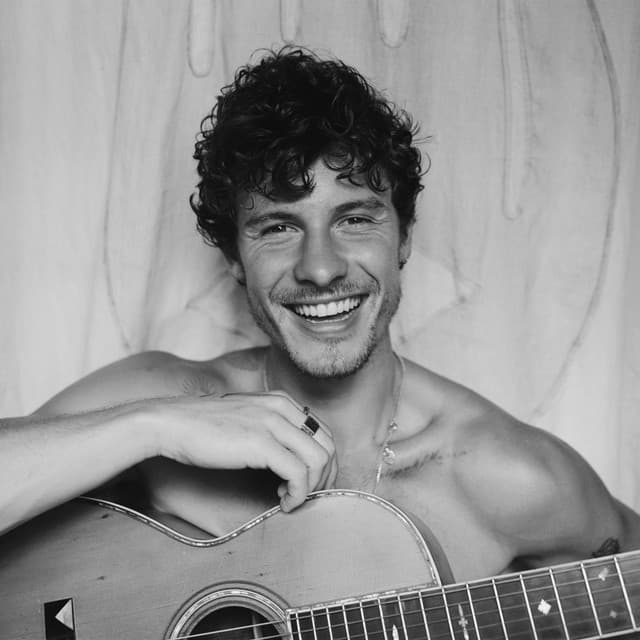 Shawn Mendes's artist profile image