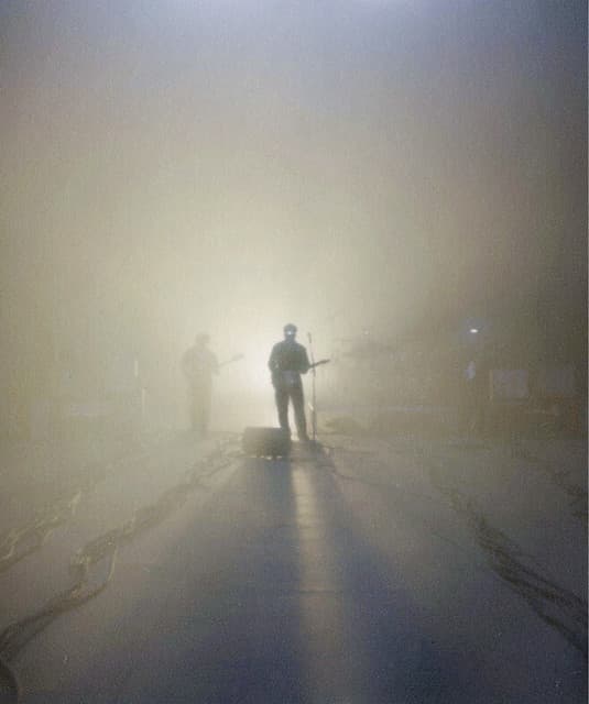 Flawed Mangoes artist profile