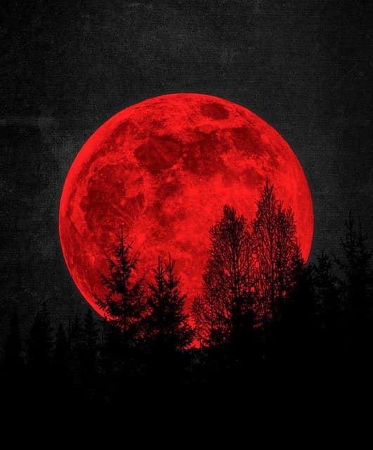 Los Del Cristo artist profile image