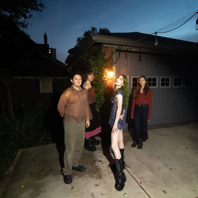 The Ophelias's artist profile image