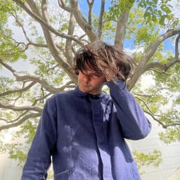 Dirty Projectors's artist profile image