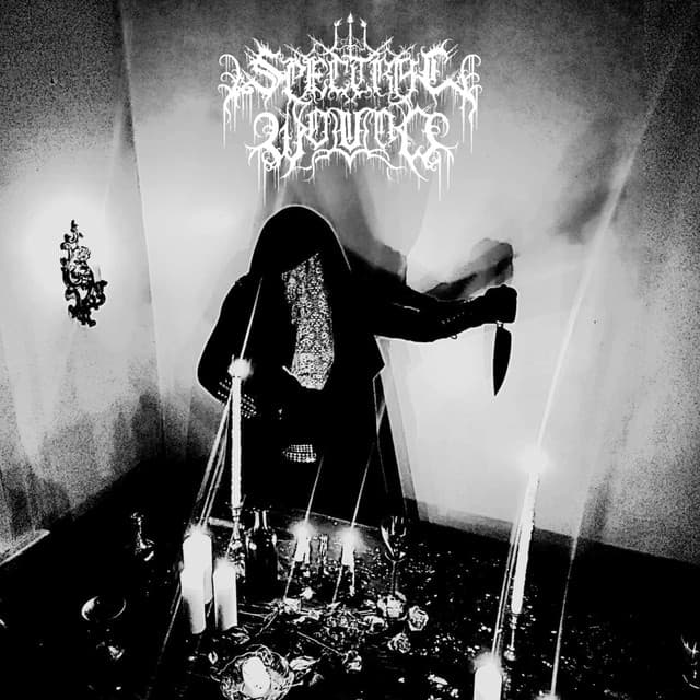 Spectral Wound's artist profile image