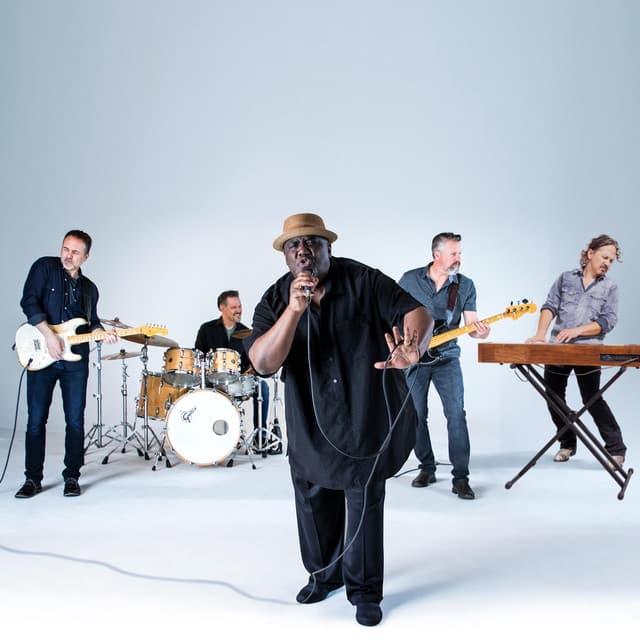 Altered Five Blues Band artist profile image