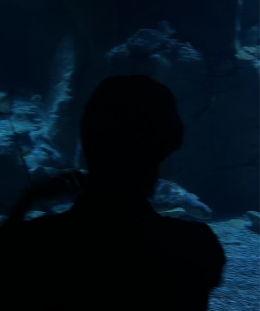 Hevi artist profile image