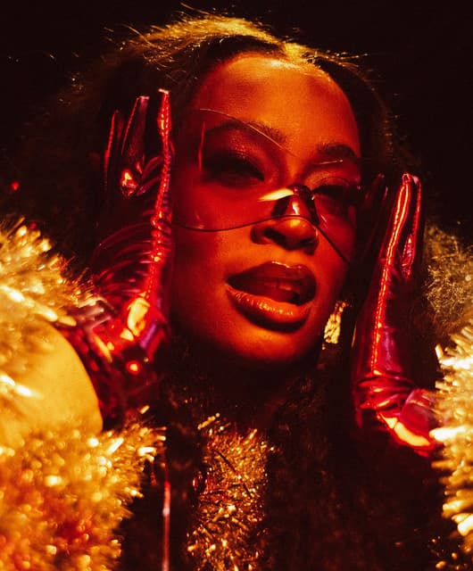 Kari Faux artist profile image