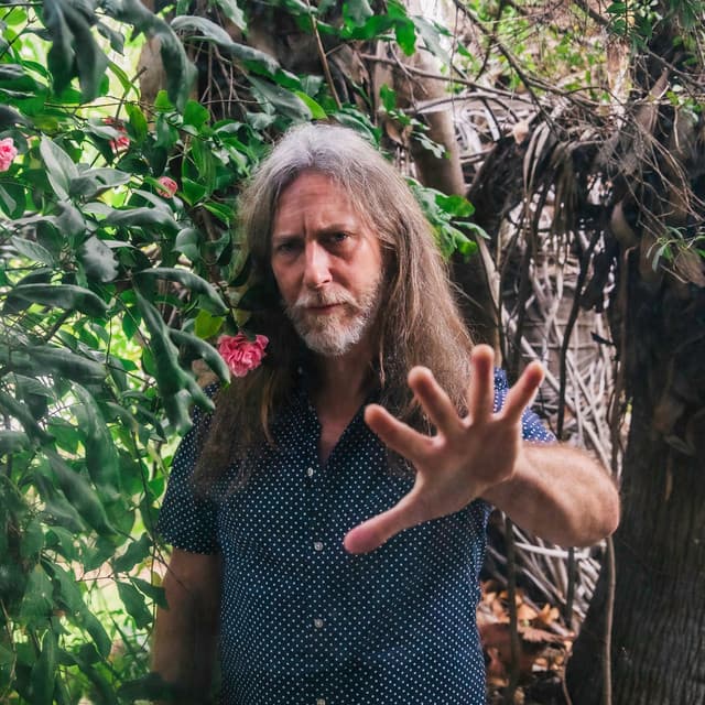 Pink Mountaintops artist profile image