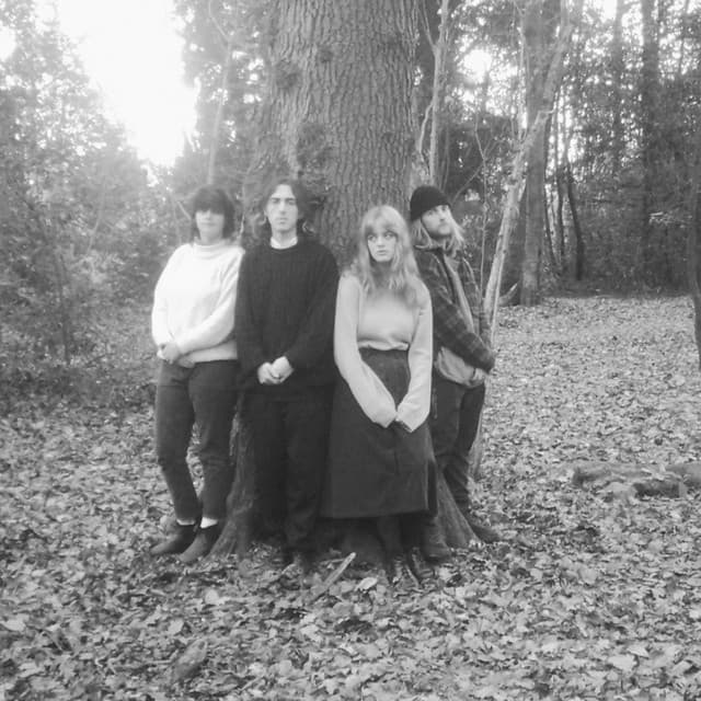 wych elm artist profile image