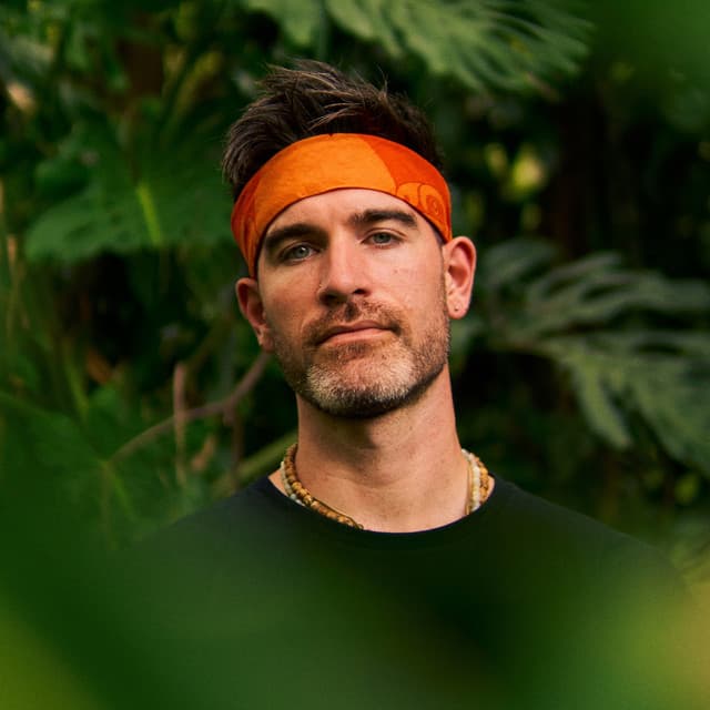 HABITAAT artist profile image